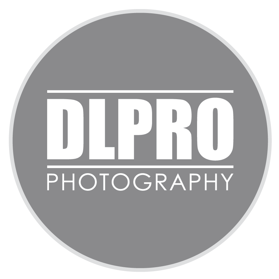 P&V-dlpro-ft