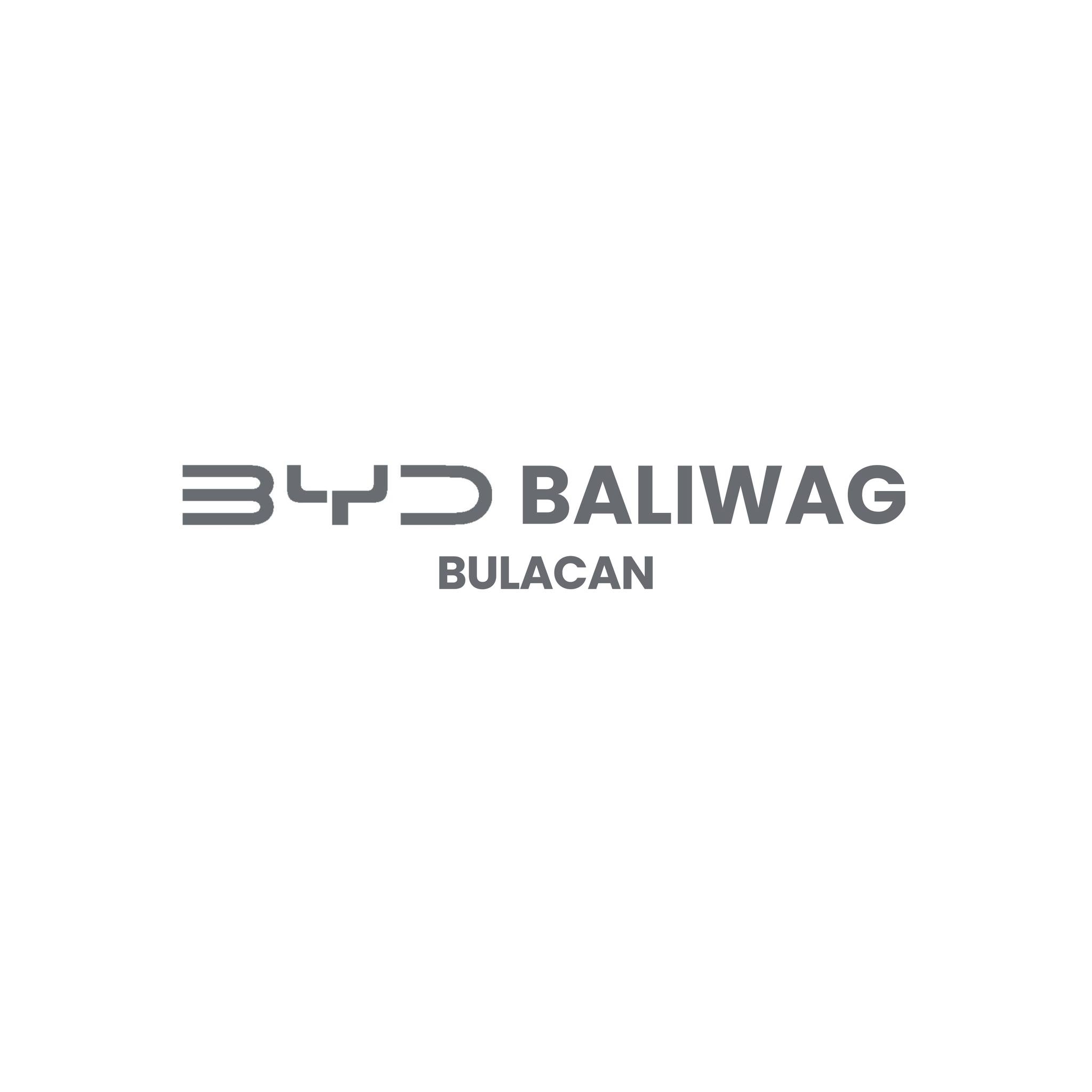 byd logo